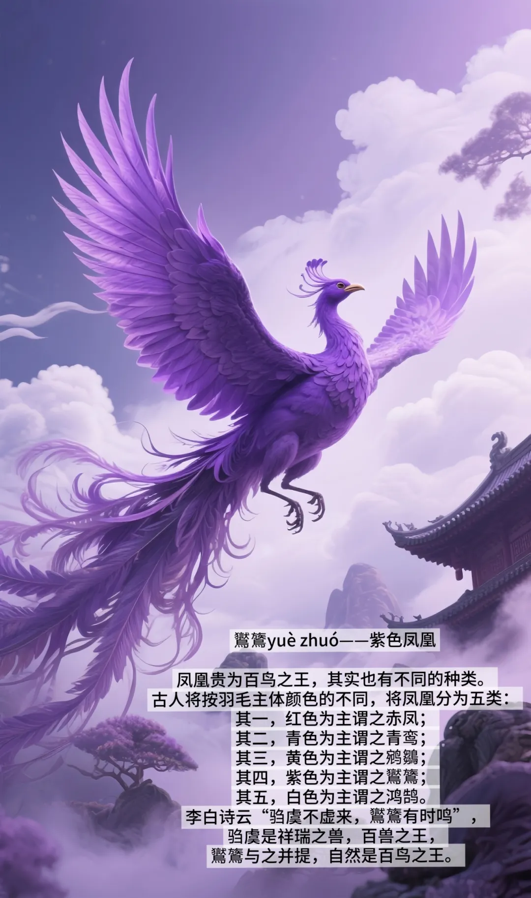 35dab0e74d04aca86af7322229431a09_origin(1).jpg